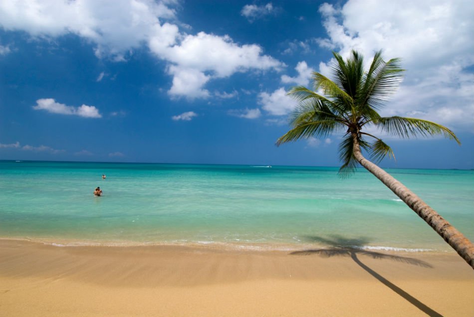 Las Terrenas image